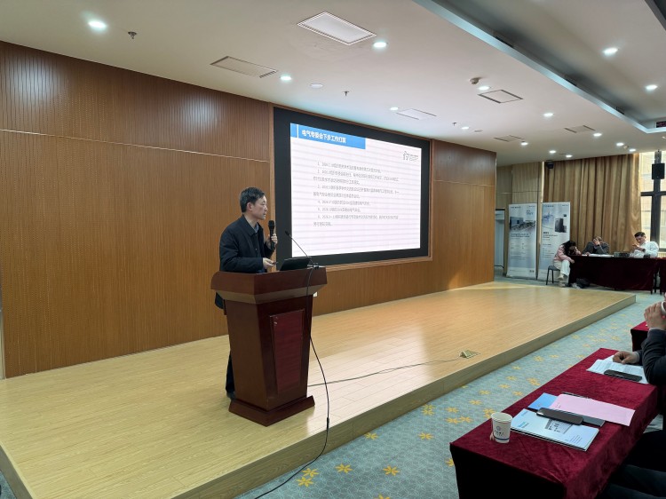 电气专委会主任委员谢正荣作工作报告